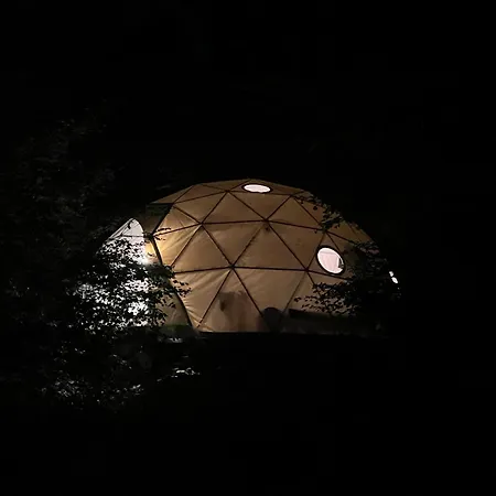 Dome En Foret *