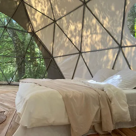 Dome En Foret